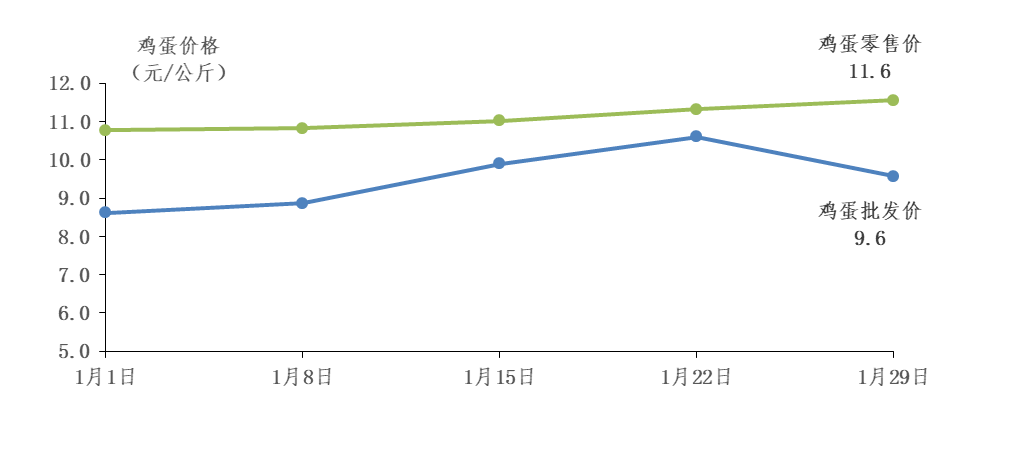 今日广东省鸡蛋价格查询及分析