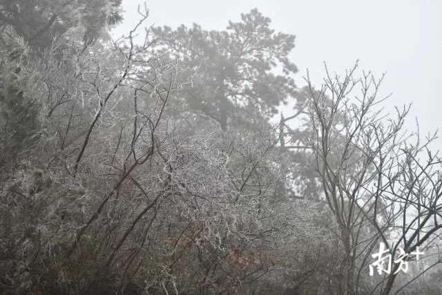 雨雪天气下的广东省